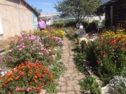 Щитикова Нина