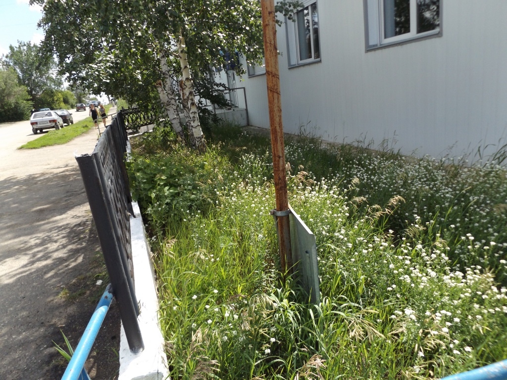 DSCF0265.JPG