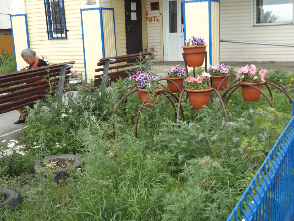 DSCF0299.JPG