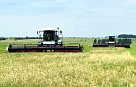 Уборочная: на последних гектарах