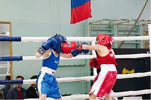 Стали чемпионами