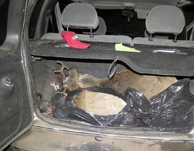 В Нагайбакском районе снова орудуют браконьеры