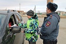 Светоотражатели сохранят жизнь!
