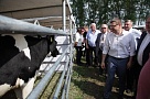 Что расскажут Текслеру жители Сарафаново?