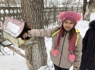Гумбейские школьники призывают: покормите пернатых!