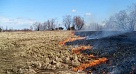 За сельхозпалы уже наказывают