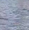 Утонули на глазах детей 