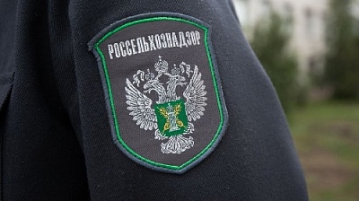Не уплатила вовремя, заплатит вдвойне