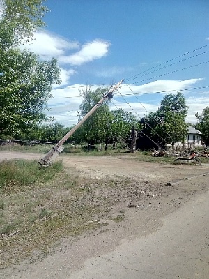 В Нагайбакском районе жители остались без света из-за поваленного дерева