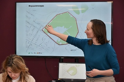 Построим парк мечты 