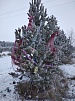 Приберите новогоднюю мишуру