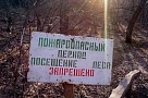 Входить и въезжать в леса строго запрещено!