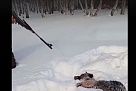 Горе-охотники могут сесть на пять лет