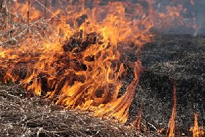 В Нагайбакском районе снова горят поля