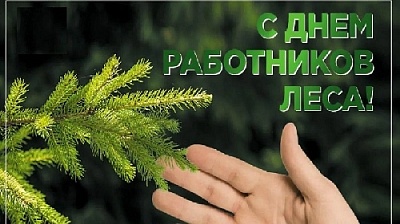 Благодарю всех, чья работа связана с лесным хозяйством