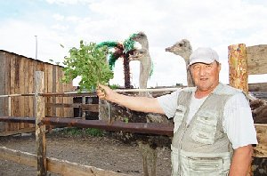 Яйцо из Парижа