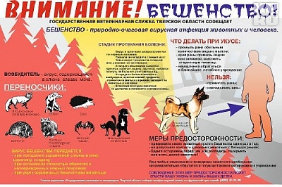 В Арсях обнаружено животное, заболевшее опасной болезнью