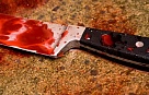Множество ножевых ранений нанёс скрывшийся с места преступления убийца
