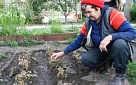 Посадили лук? Зря поторопились!
