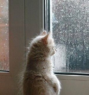 Погода на Южном Урале скоро наладится