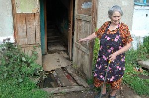 В квартирах - мухи и лягушки...