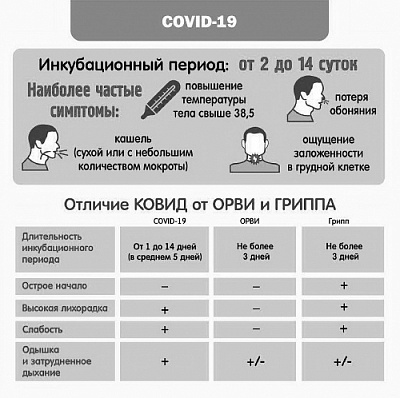 Ковид: что делать, куда звонить?