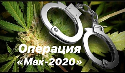 В Нагайбакском районе ищут дикорастущие наркосодержащие растения