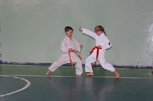 Каратисты добились успехов