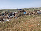 Мёртвые сраму не имут?