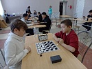 Остроленцы лучше всех играют в шашки