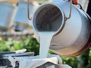 Жители Нагайбакского района возмущены - куда теперь девать молоко?