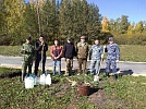 Всенародная акция "Лес Победы"