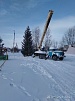 Новогоднюю красавицу привезли в Фершампенуаз