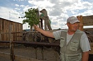 Развивать внутренний  туризм