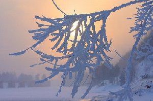 В Нагайбакском районе школьники на незапланированных каникулах