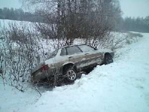 Наехали даже на собаку