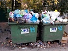 Вопросы можно решить на месте