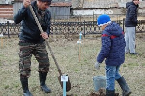 Лес победы - в честь погибших