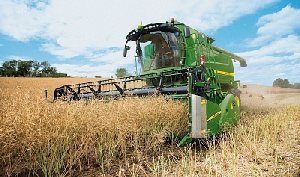 На Южном Урале намолотили зерна больше прошлогоднего