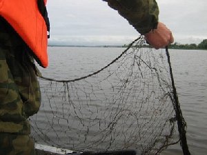 Почему на пруду Хрустальный Нагайбакского района гребут рыбу сетями?