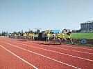 Соревнуются в скорости и выносливости 