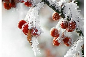 Утепляйся народ, сильный холод идёт!