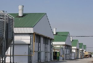 Полы – по европейски