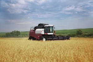 Уборка в Нагайбакском районе идёт слабовато…