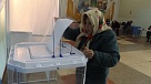 Выберем депутатов разного уровня