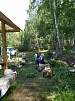 Связали более четырёхсот веников