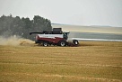 Хлеб, выращенный на нагайбакской земле