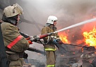 Сгорели в доме при пожаре