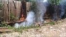Жителей Челябинской области просят не поджигать тополиный пух