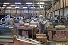 Год экологии в Нагайбакском районе знаменуется рядом мероприятий